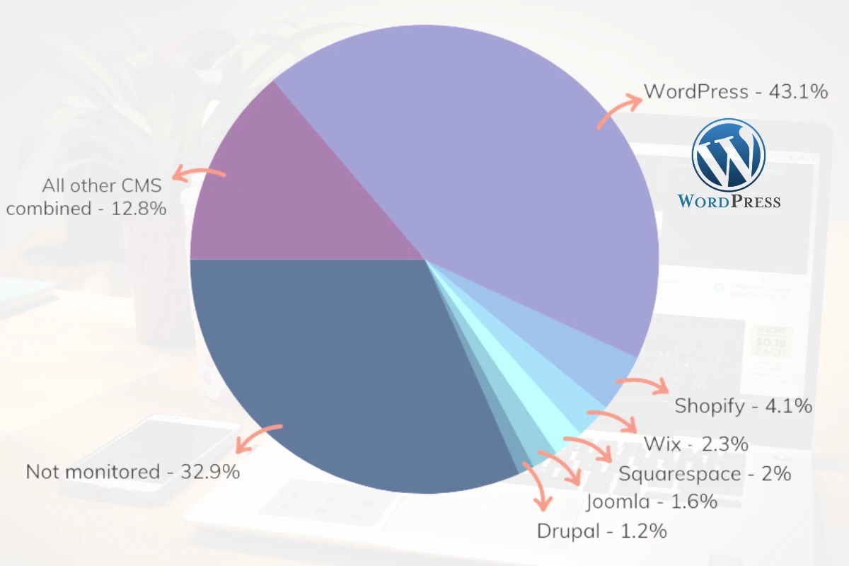 Why WordPress Dominates the CMS Market