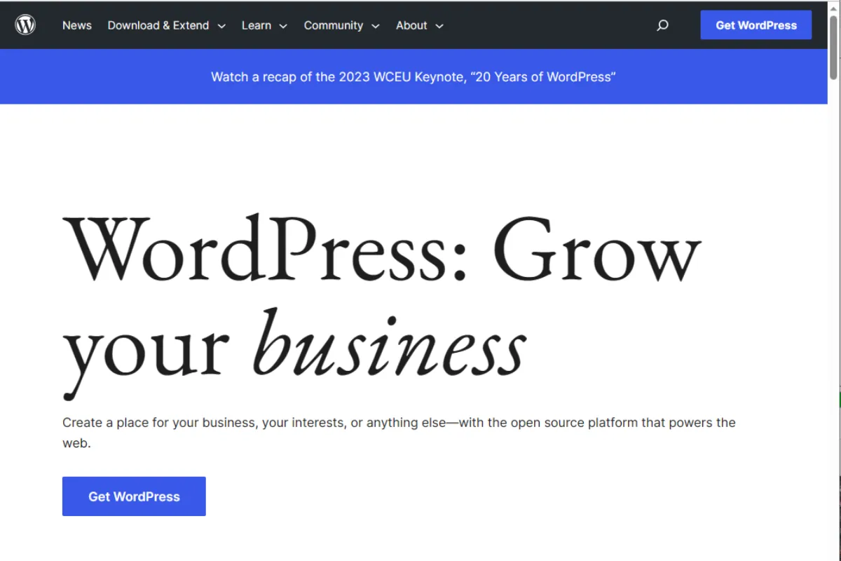 Wordpres screenshot of the main website
